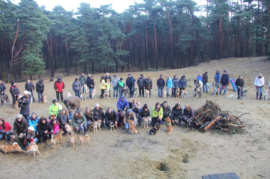 Balade - Wandeling Akitaclub décembre 2012