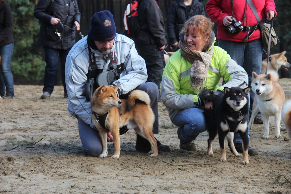 Balade - Wandeling Akitaclub décembre 2012