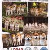 magazine 2/2010