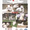 magazine 3/2010
