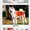 magazine1/2011