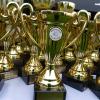 Akita Club Show 2014