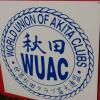 Akita Club Show 2014