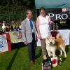 Akita Club Show 2014
