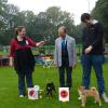 Baby shiba Akita Club Show 2014