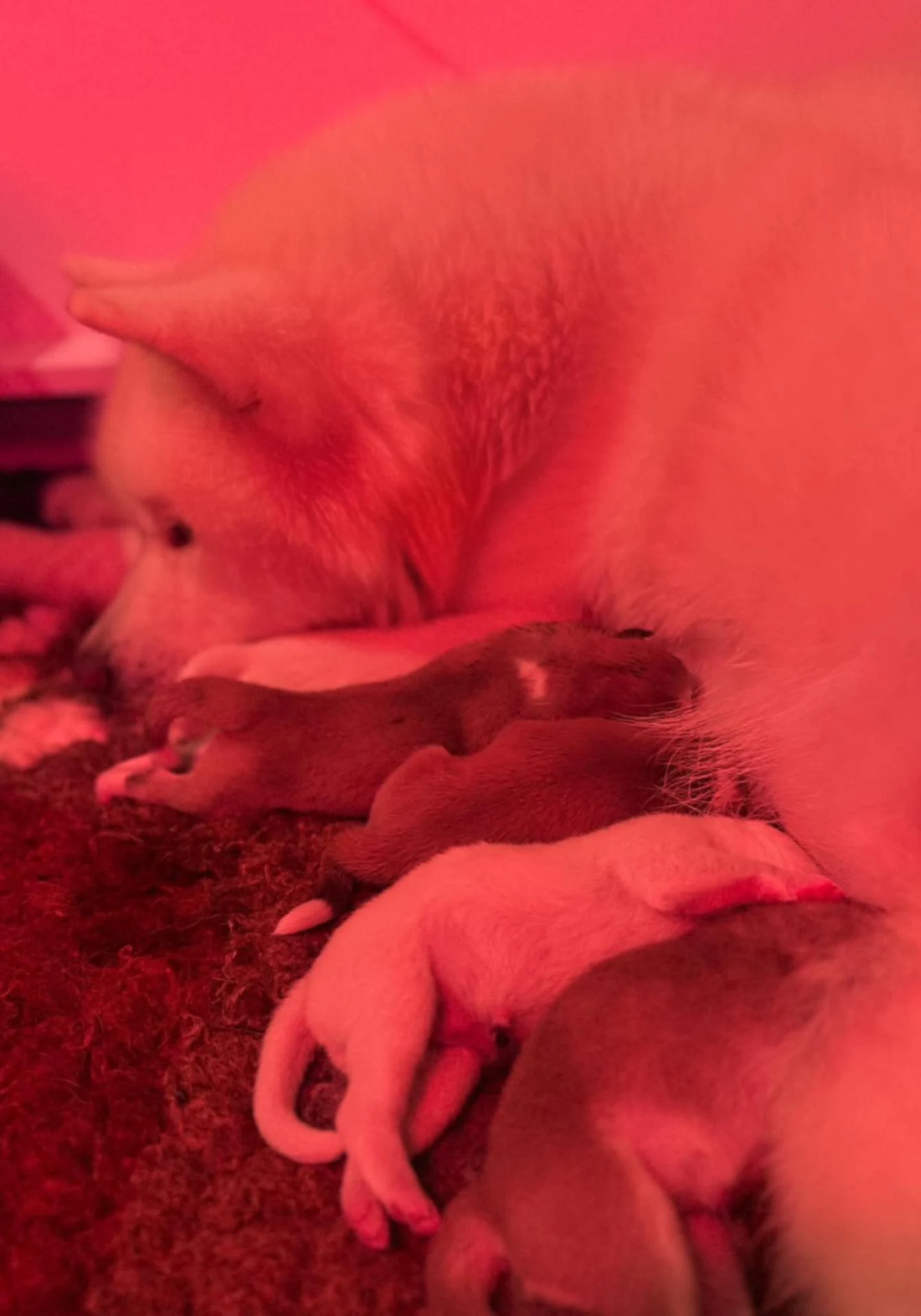 063ba3b7 2de5 4f54 97be 8fa4a8ffb0e8