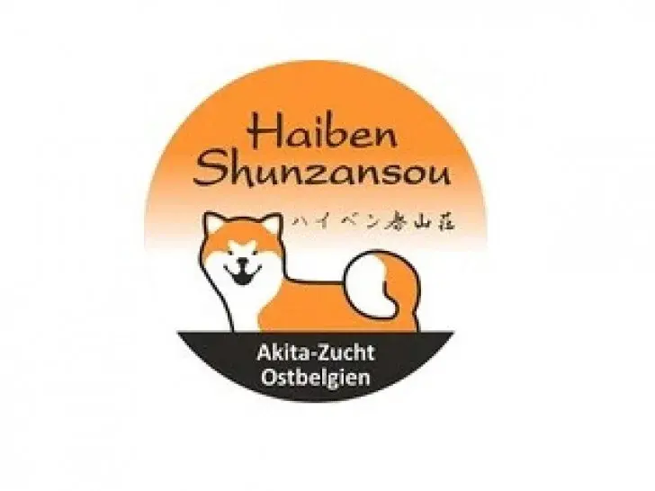 23 big 79236 go haiben shunzansou
