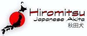 Hiromitsu 2