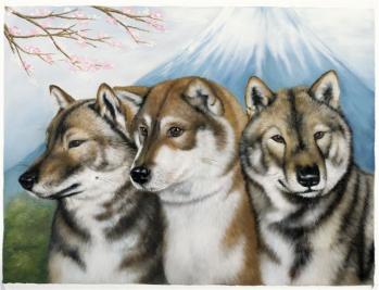shikoku3x.jpg
