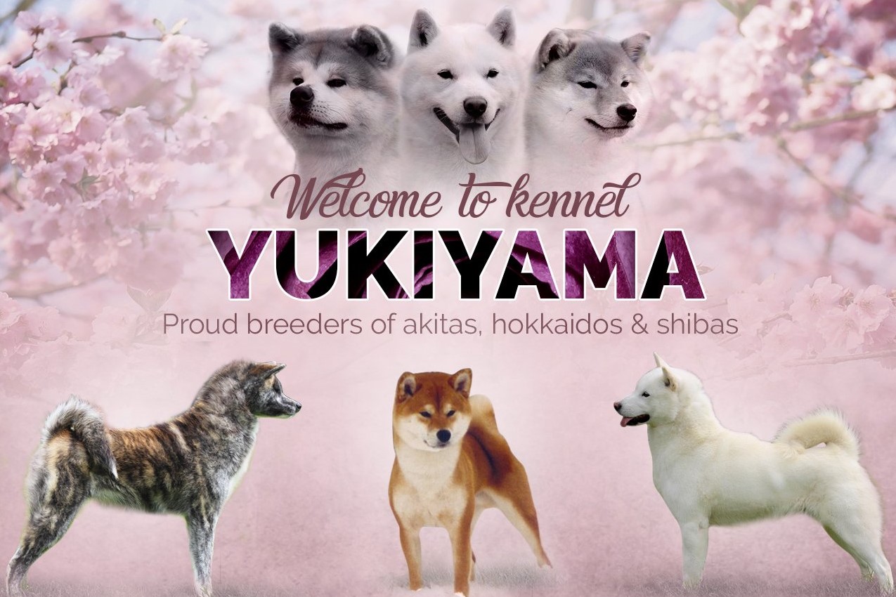 Website banner 2
